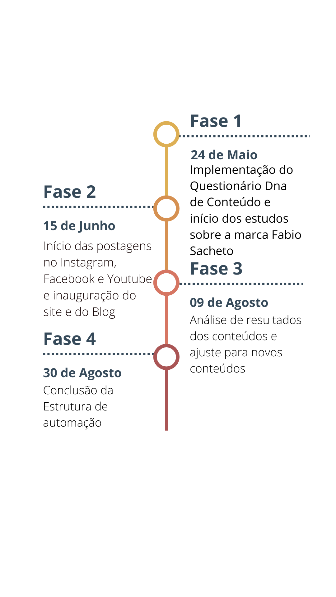 Multicolor Professional Chronological Timeline Infographic (Story do Instagram)